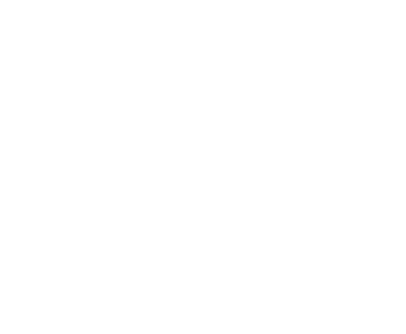 Sophiana Foundation logo